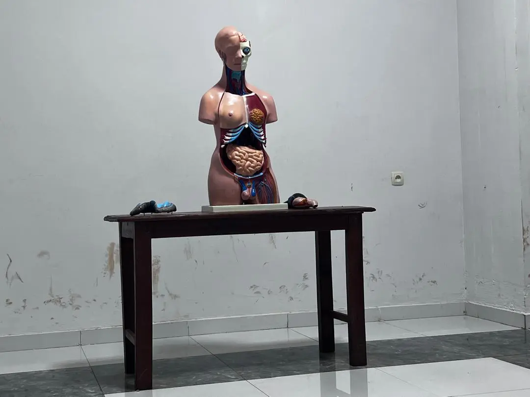 whatsapp image 2024 04 13 a 10.14.40 19173a1d